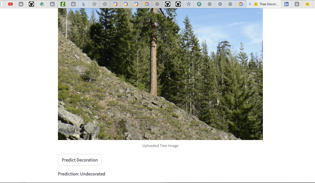 Deployment Screenshot